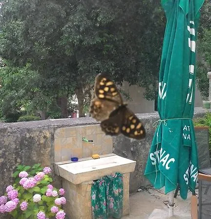 Zdenka Veli Lošinj
