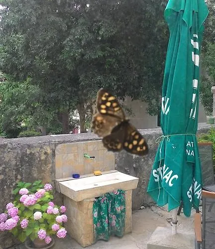 Zdenka Veli Lošinj
