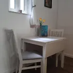 Appartamento Zdenka Lussingrande